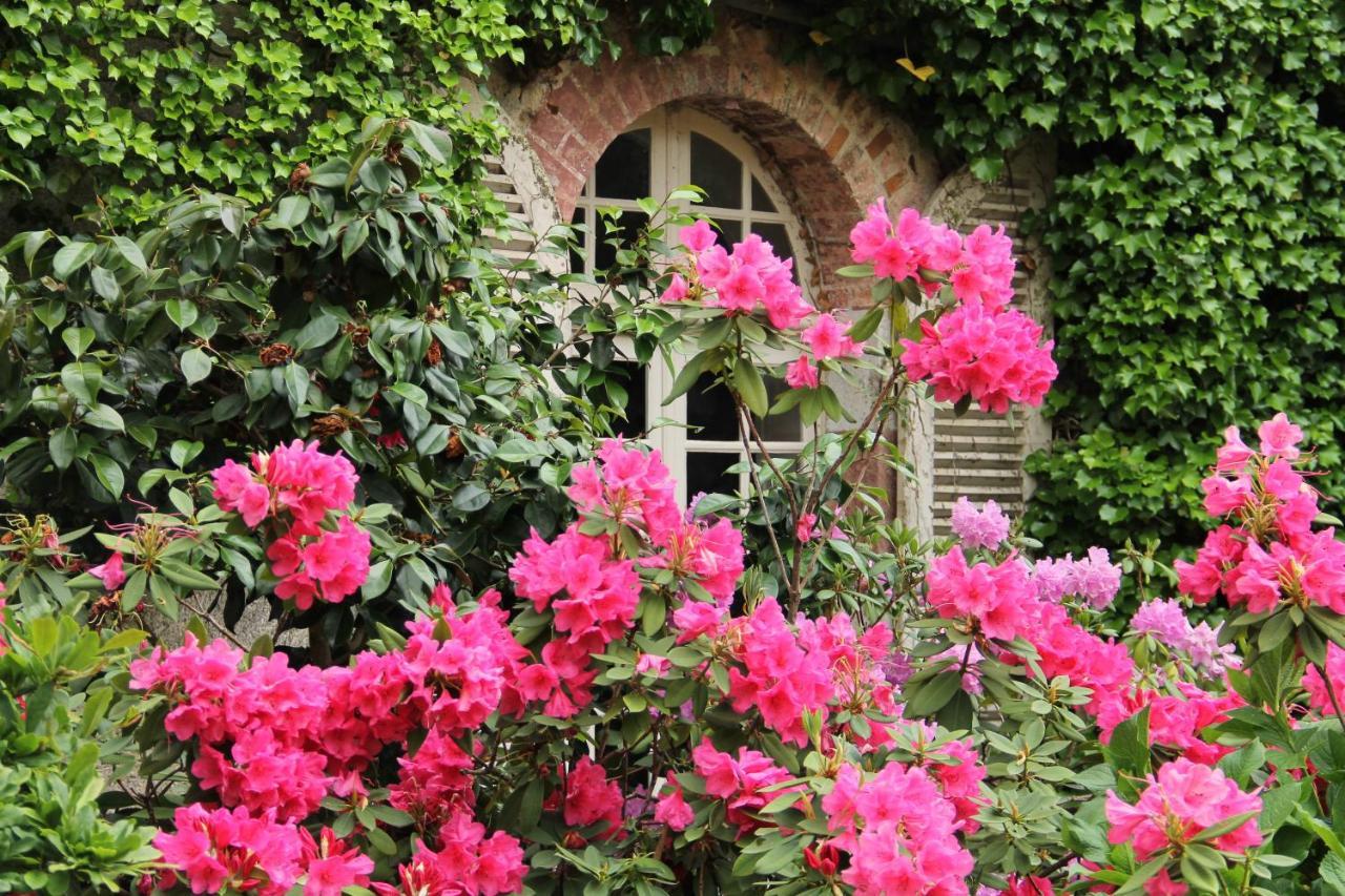 Domaine Des Roches Blanches Villa Le Pin  Exterior photo