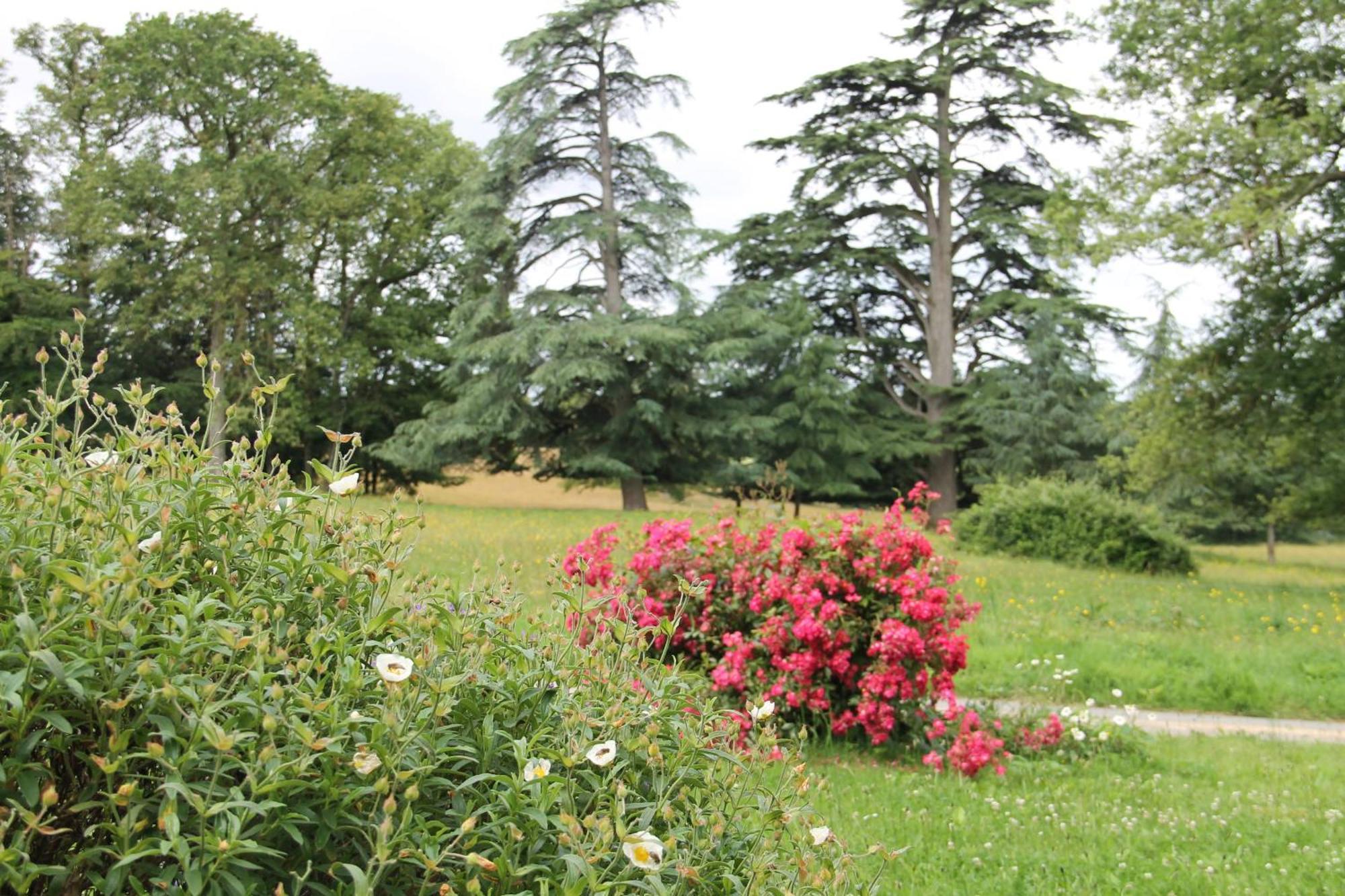Domaine Des Roches Blanches Villa Le Pin  Exterior photo