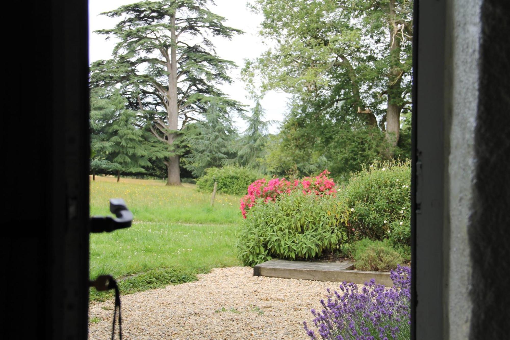 Domaine Des Roches Blanches Villa Le Pin  Exterior photo