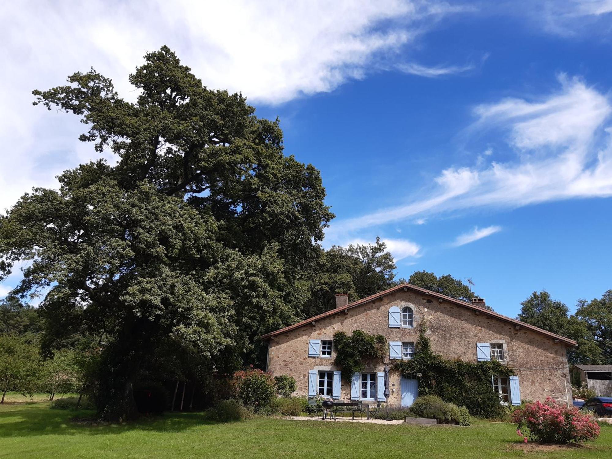 Domaine Des Roches Blanches Villa Le Pin  Exterior photo
